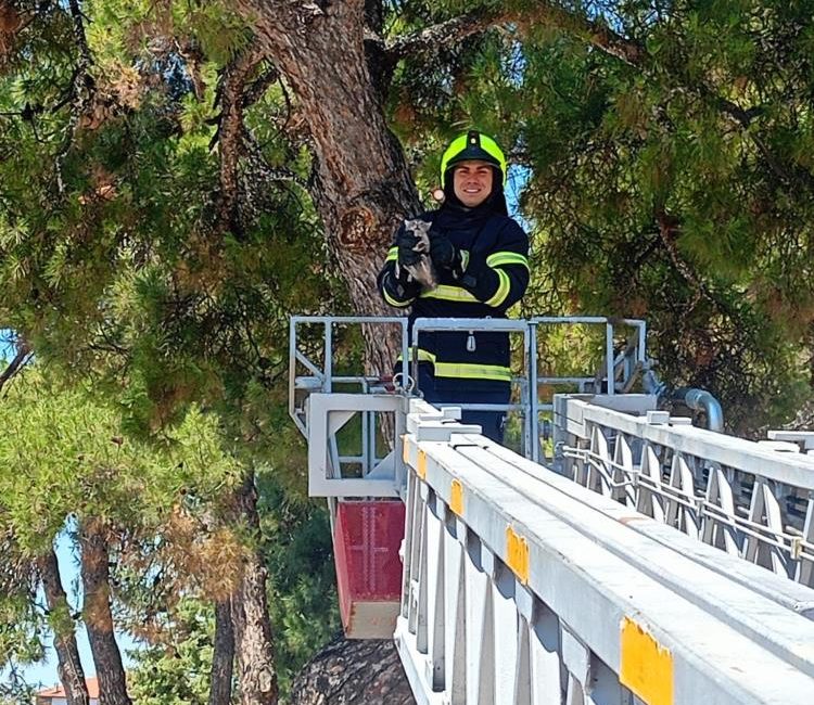 Balıkesir itfaiyesinden kedi kurtarma operasyonu Balıkesir İtfaiye Daire Başkanlığına bağlı itfaiye ekipleri Balıkesir genelinde 2