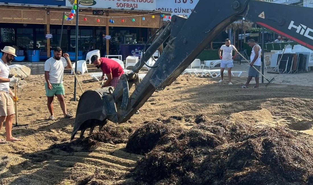 Marmara Adaları’nda yosunlar ve taşlar temizlendi Marmara Adalar Belediyesi, yaz sezonuyla birlikte adalar genelinde sahil temizliği