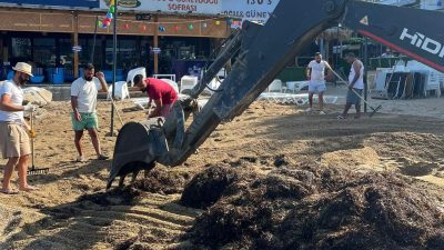 Marmara Adalar Belediyesi, yaz sezonuyla birlikte adalar genelinde sahil temizliği