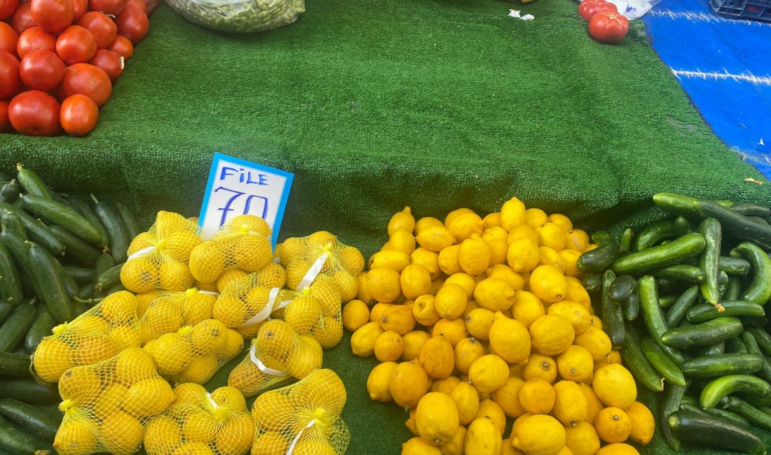 Bandırma Pazarı’nda limon düştü, bamya zirveye çıktı Bandırma Pazartesi Pazarı’nda sebze fiyatlarında kısmen düşüş gözlenirken, mevsim meyvelerinde
