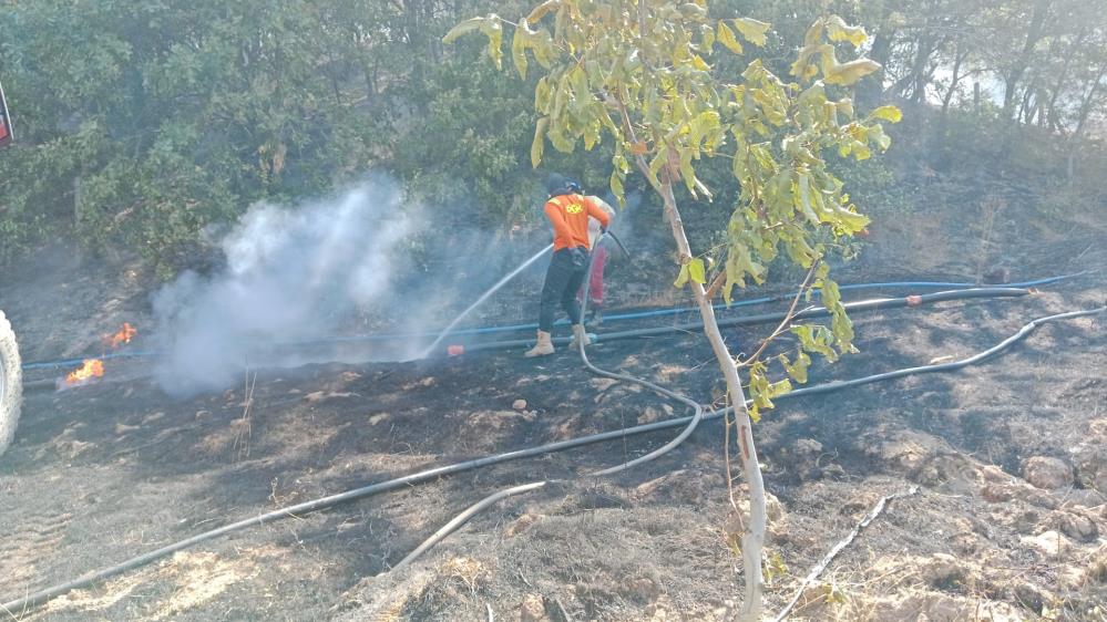 Gönen’de ormanlık alanda çıkan yangın söndürüldü Gönen’de ormanlık alanda çıkan yangın, ekiplerin müdahalesiyle söndürüldü. Yangın, ilçeye