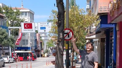 Erdem ÖZCAN Atatürk Caddesi 25 nolu işyeri önünde bulunan ve