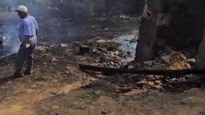 Sındırgı’da tutuşan saman balyaları kısa sürede küle dönerken, ormana yönelen