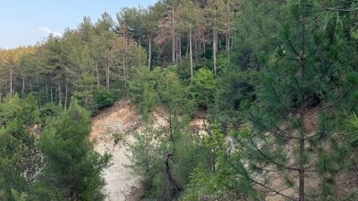 Balıkesir Orman Bölge Müdürlüğü, Dursunbey’deki orman yollarında bakım ve yeni