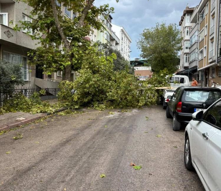 Bandırma’da gece yarısı fırtına: Ağaçlar devrildi, araçlar zarar gördü Bandırma’da gece saatlerinde fırtına ve sağanak yağış etkili oldu. Yaklaşık