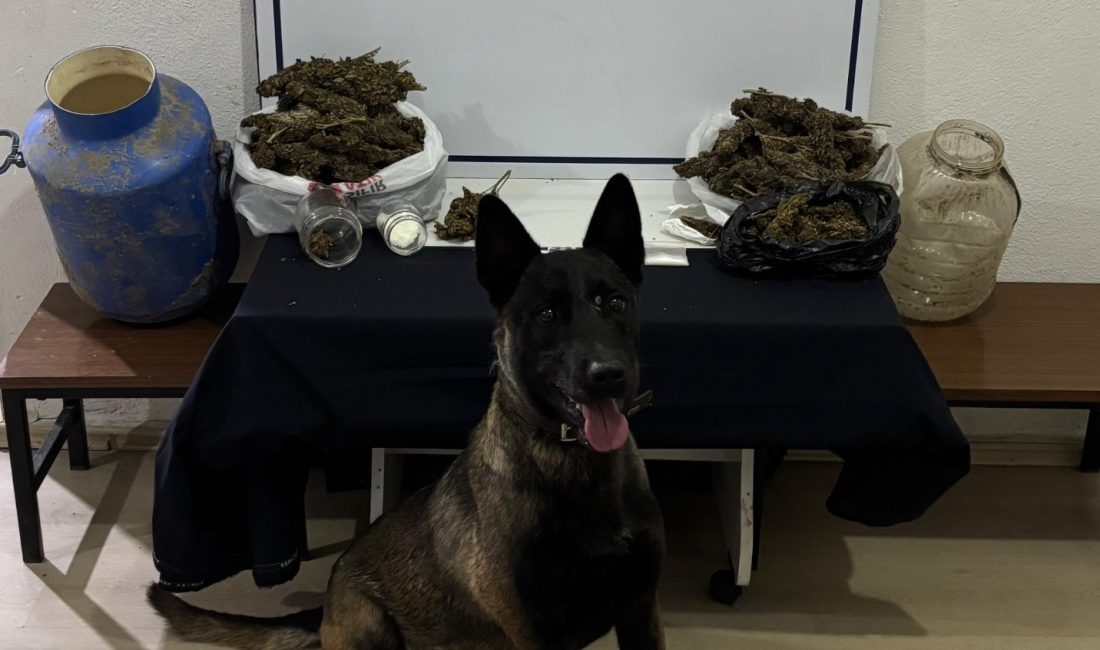 Gönen’de zehir tacirlerine geçit verilmedi Bandırma Narkotik Suçlarla Mücadele Büro Amirliği ekipleri, Gönen’de gerçekleştirdiği operasyonla