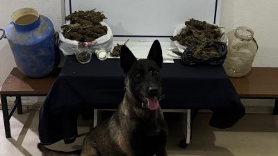 Bandırma Narkotik Suçlarla Mücadele Büro Amirliği ekipleri, Gönen’de gerçekleştirdiği operasyonla