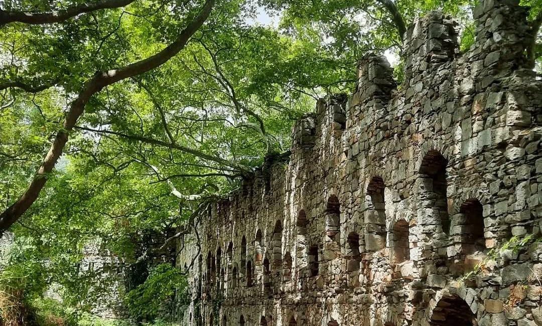 Erdek Kapıdağ Yarımadası’nın eşsiz güzelliklerine yolculuk Erdek’in tarihi ve doğal zenginlikleri, düzenlenen özel bir turla yeniden
