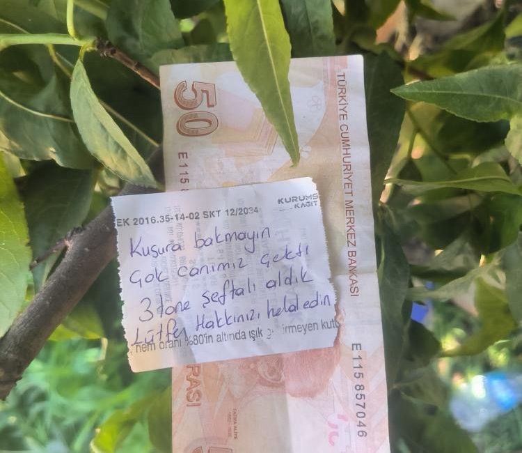 İnsanlık ölmemiş dedirten hareket Bursa’da bir hareket “insanlık ölmemiş” dedirtti. İznik ilçesinde bir şeftali