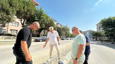 Bandırma Belediyesi, Malta Parkı çevresinde asfaltlama ve yeşillendirme çalışmaları kapsamında