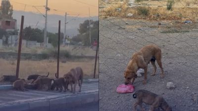 Susurluk’ta çevre sakinlerinin Yeni Mahalle, İstasyon Caddesinde bulunan boş bir