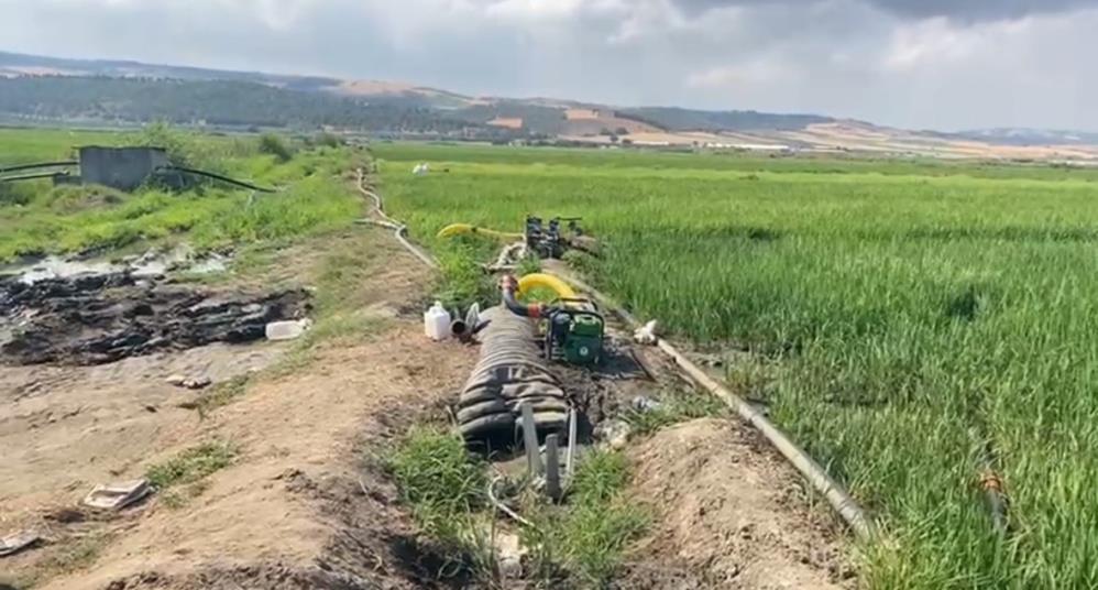 Gönen Ovası’nda çeltik tarlaları susuz kaldı Devlet Su İşleri (DSİ) Bölge Müdürlüğü’nün yaptığı planlama nedeniyle özellikle
