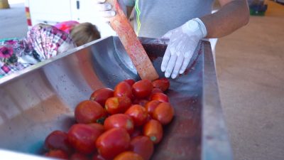 Ayvalık Belediyesi ve Üretim ve Pazarlama Kooperatifi, bu geleneksel uygulama