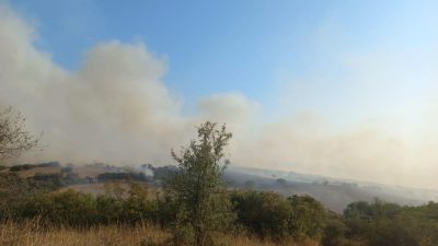 Bigadiç ilçesinde arazilerin bulunduğu alanda yangın çıktı. Bigadiç ilçesine bağlı