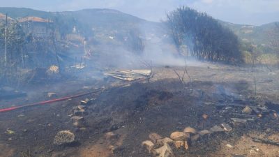 Erdek’te arazide çıkan yangın itfaiye ekiplerinin hızlı müdahalesiyle kontrol altına