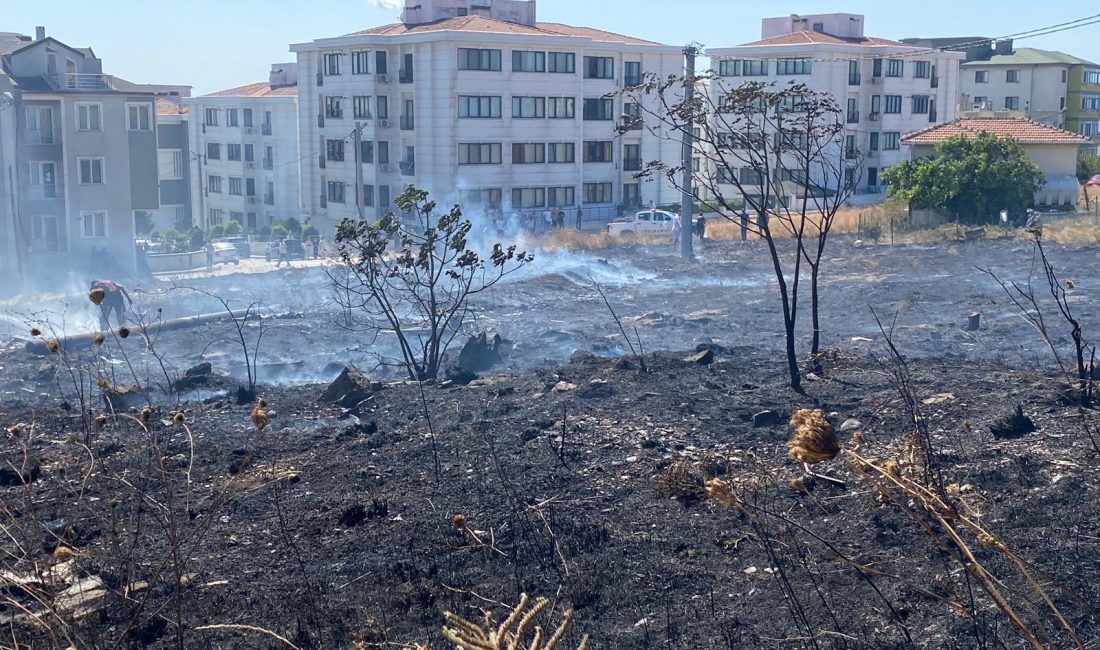 Bandırma’da otluk alandaki yangın söndürüldü Bandırma 100. Yıl Mahallesi’nde çıkan otluk yangını, ekiplerin hızlı müdahalesiyle