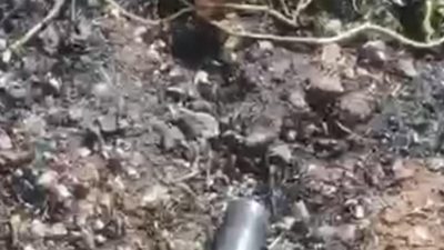 Gönen’de çıkan yangında küle dönen tarlada etrafa saçılan çok sayıda