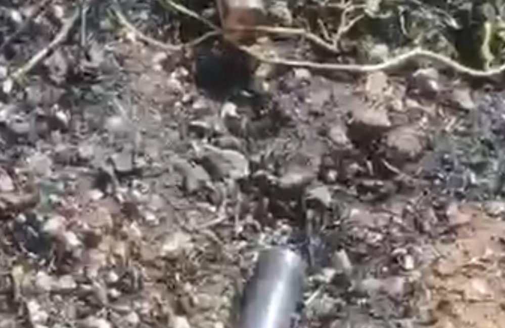Gönen’de tarla yangını sonrası üzücü manzara Gönen’de çıkan yangında küle dönen tarlada etrafa saçılan çok sayıda