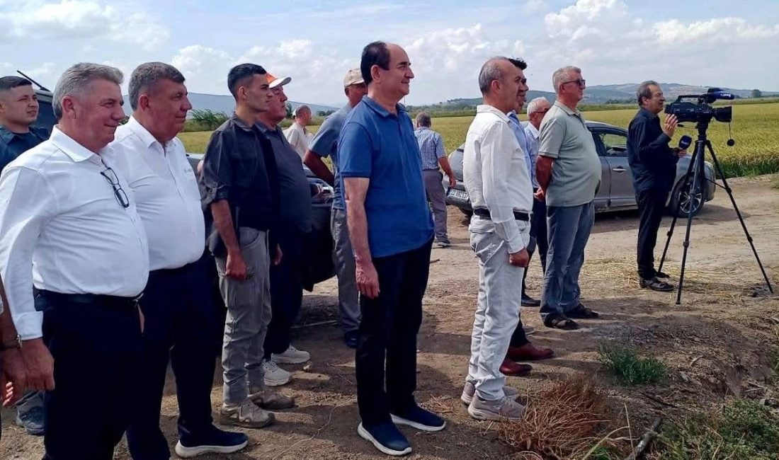 Gönen ve Manyas’ta çeltik tarla günleri düzenlendi Gönen ve Manyas’ta düzenlenen Çeltik Tarla Günleri, üreticilere modern tarım