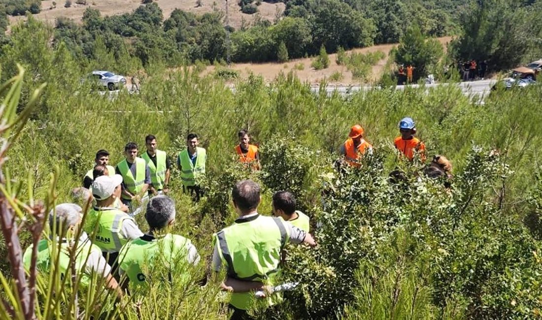Orman İşletme Şeflerine uygulamalı “Silvikültür Eğitimi” Balıkesir Orman Bölge Müdürlüğü’nde yeni göreve başlayan Orman İşletme Şeflerine,