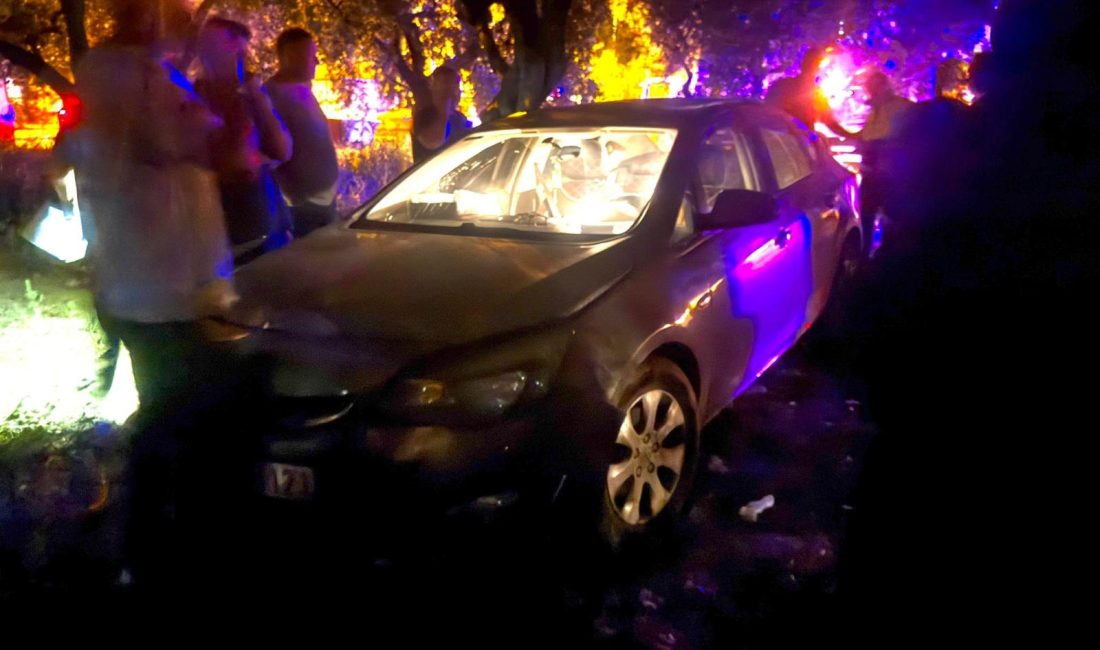 Erdek’te kontrolden çıkan otomobil zeytin bahçesine girdi. Kazada 1 kişi