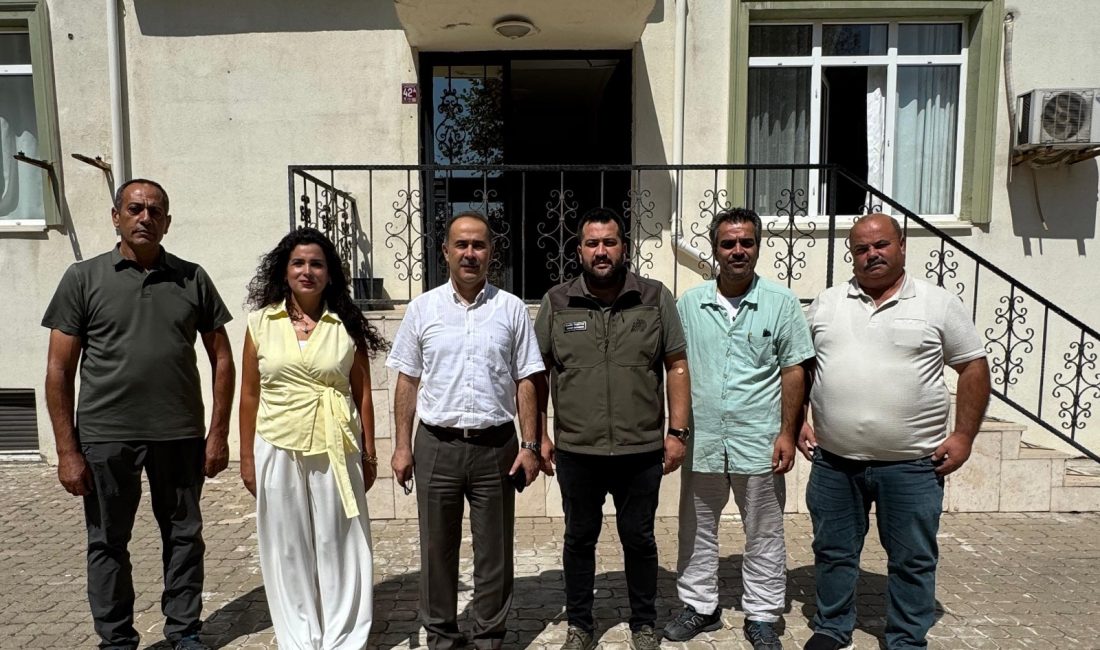 Bandırma Kaymakamı yangınla mücadele ekibini tebrik etti Bandırma Kaymakamı Engin Aksakal, Orman İşletme Müdürlüğü ve Doğa Koruma