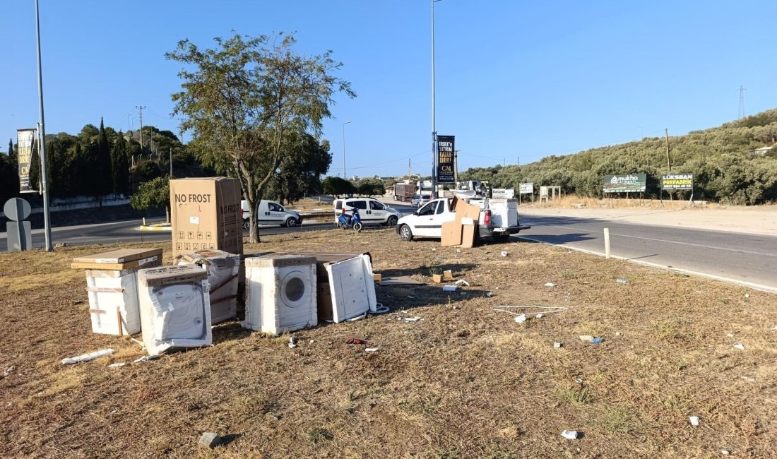 Erdek-Bandırma karayolunda meydana gelen trafik kazasında, beyaz eşya yüklü bir