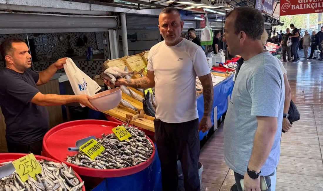 Bandırma Balık Hali’nde tezgâhlar bollukla doldu Balık sezonunun bereketli başlaması, Bandırma Balık Hali’nde yüzleri güldürdü. Tezgâhlarda