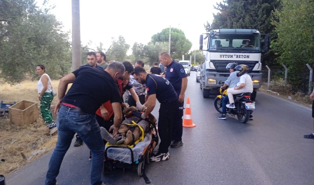 Altınkum Mahallesi’nde meydana gelen kazada sürücü, çarpmanın etkisiyle araç içinde