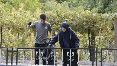 Dursunbey’de gençler İklim Değişikliği ve Sıfır Atık Müdürlüğü öncülüğünde Saz