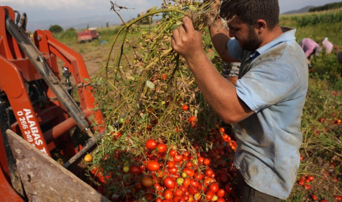 Sındırgı ilçesinde 10 Ağustos’ta meydana gelen 6,1 büyüklüğündeki depremin ardından
