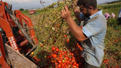 Sındırgı ilçesinde 10 Ağustos’ta meydana gelen 6,1 büyüklüğündeki depremin ardından