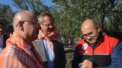 Türkiye’nin en önemli zeytin ve zeytinyağı merkezlerinden biri olarak kabul