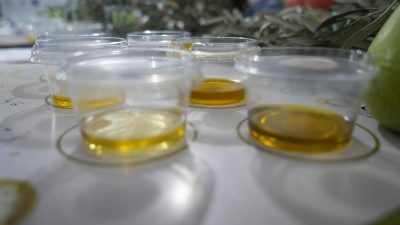 Edremit ilçesinde bu yıl ikincisi düzenlenen Zeytinyağı Tadım Festivali (FestOlive)