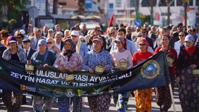 Bu yıl 20’ncisi düzenlenen Uluslararası Zeytin Hasat ve Turizm Festivali’nin