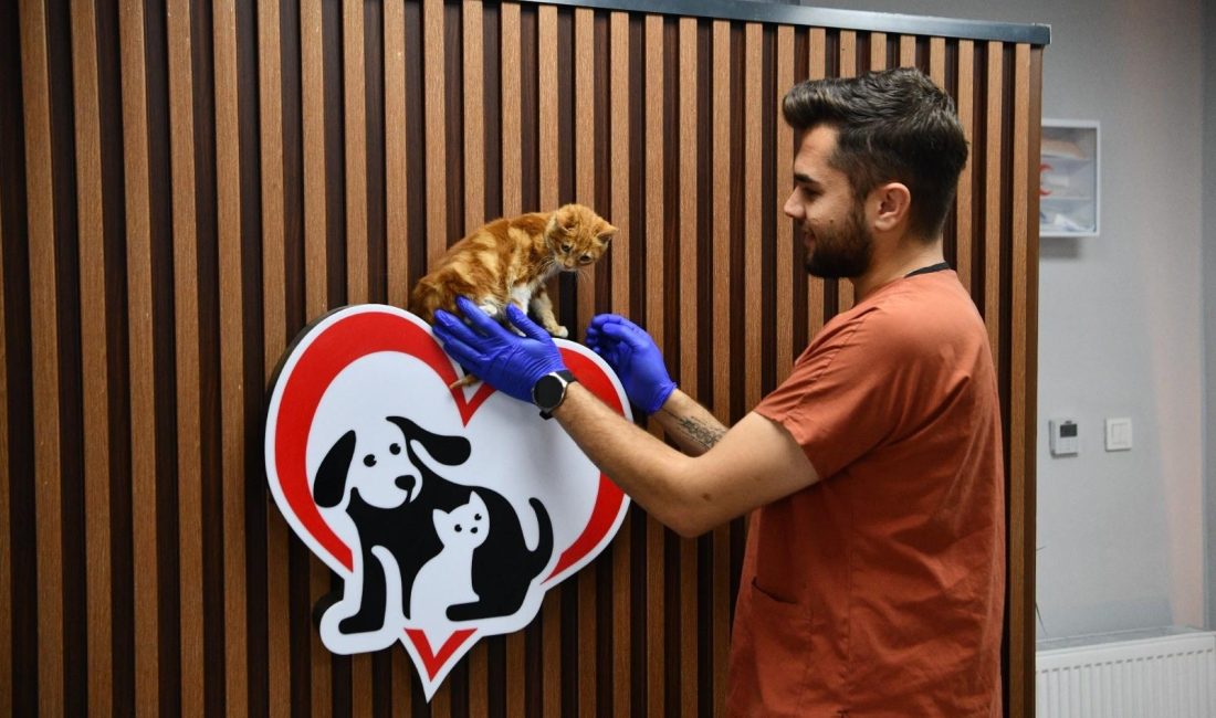 Türkiye’ye örnek olacak bir sahiplendirme projesini hayata geçiren Balıkesir Büyükşehir