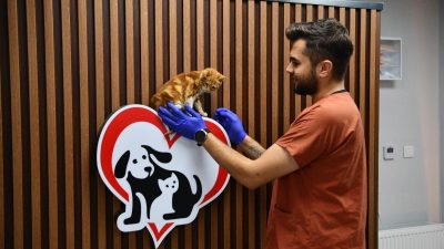 Türkiye’ye örnek olacak bir sahiplendirme projesini hayata geçiren Balıkesir Büyükşehir