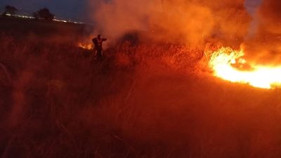Bandırma’da otomobil lastiklerinin yakılması sonucu yoğun duman gökyüzünü kapladı. Yangına