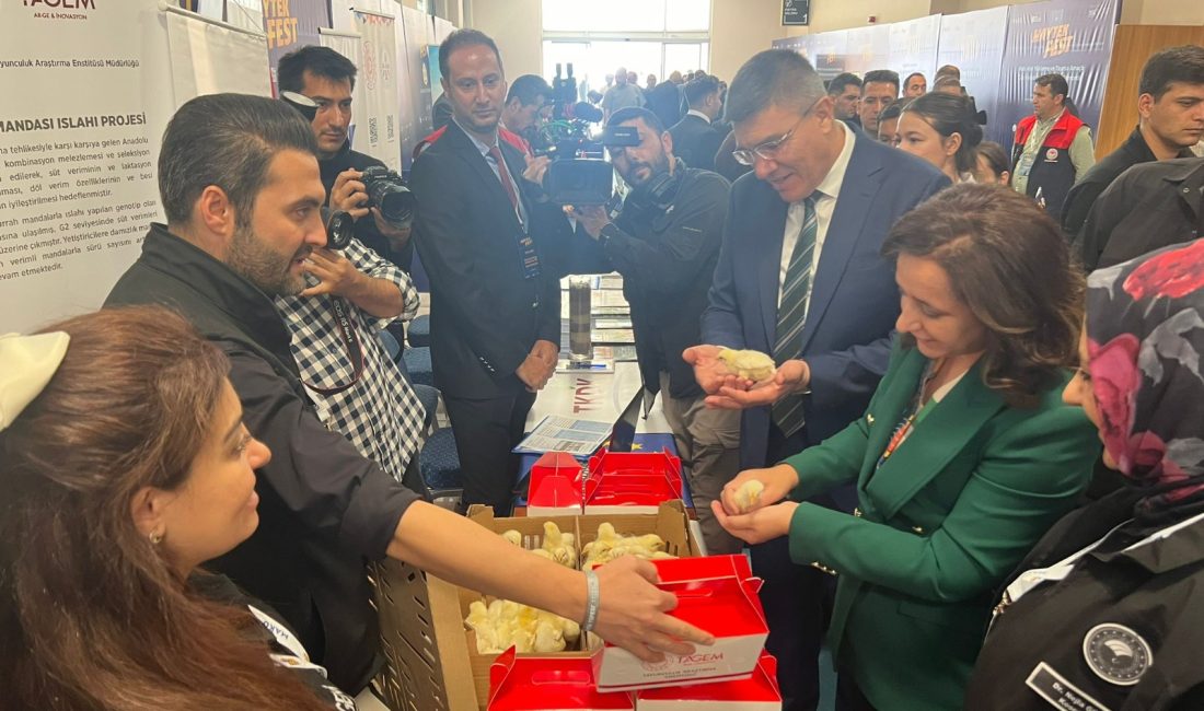 HAYTEK FEST’te Bandırma Koyunculuk Araştırma Enstitüsü Rüzgarı Hayvancılık, Tarım ve Gıda Teknolojileri AR-GE ve İnovasyon Festivali’nde Bandırma