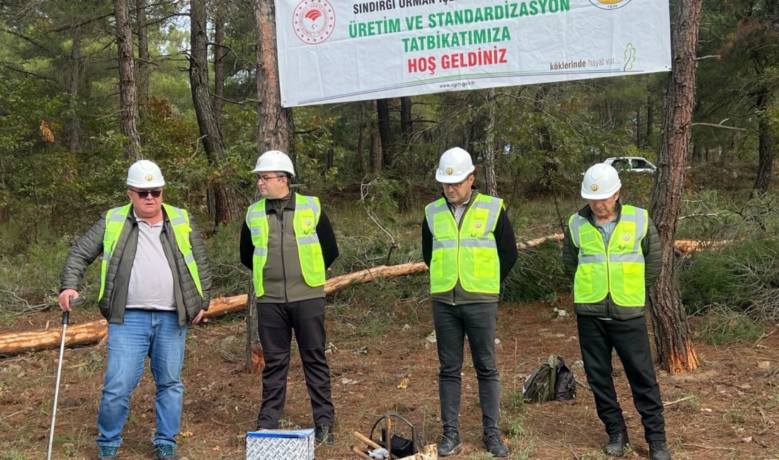 Orman personeline üretim ve güvenlik eğitimi Balıkesir Orman Bölge Müdürlüğü, teknik ve saha personelini üretim standartları