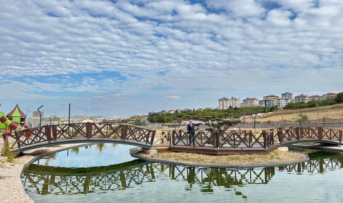 Bandırma Belediyesi’nden çevre ve altyapı çalışmaları Bandırma Belediyesi, kent genelinde başlattığı çevre ve altyapı çalışmalarına devam