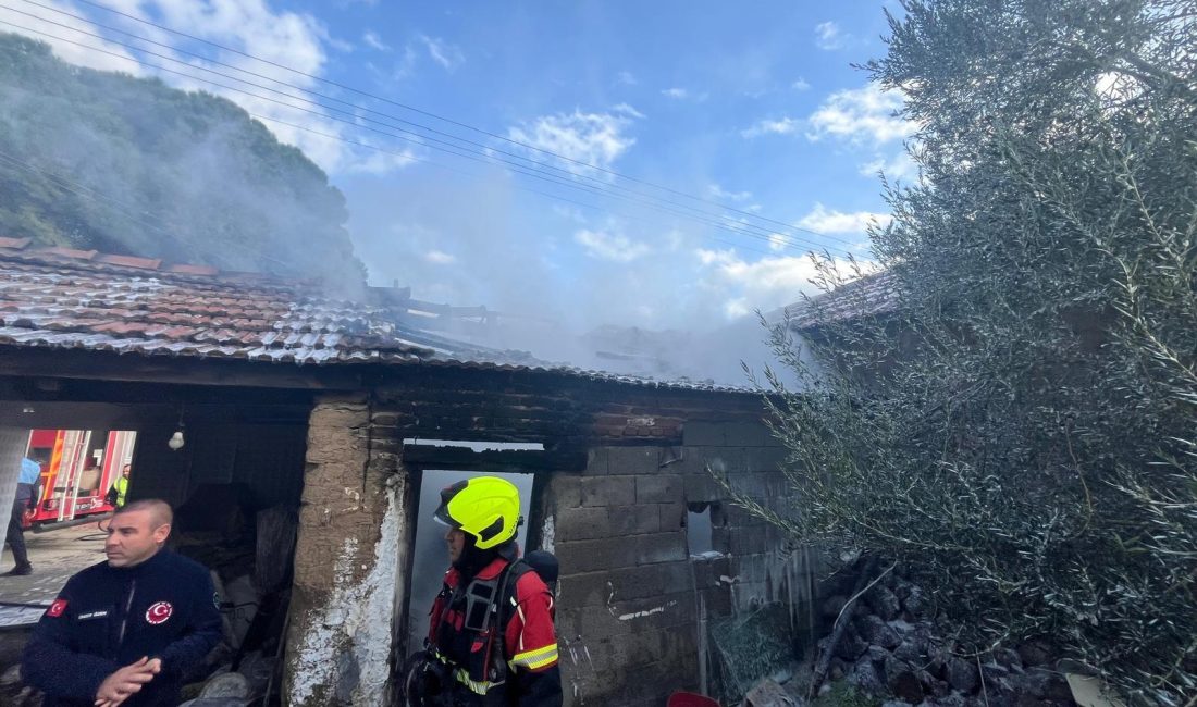 Balıkesir’de depoda yangın Ayvalık’ta bir depoda çıkan yangın, itfaiye ekipleri tarafından söndürüldü. Edinilen