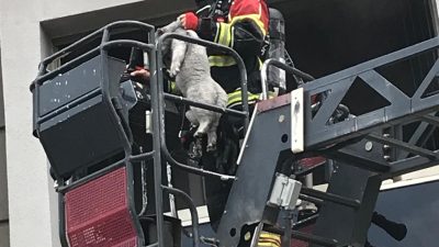 Bandırma İhsaniye Mahallesi’nde çıkan yangın, Bandırma İtfaiye Grup Amirliği ekiplerinin