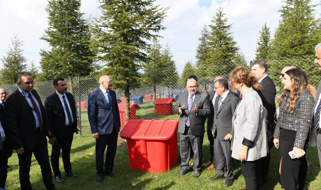 CAN DOSTLARA YENİ YAŞAM ALANI Altıeylül Belediyesi tarafından yaklaşık 2 ayda yapımı tamamlanan Altıeylül Hayvan