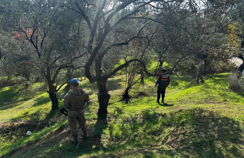 Edremit’te zeytin hırsızlığına karşı komandolar sahada Edremit’te zeytin hasat döneminin başlamasıyla birlikte jandarma ekipleri ve jandarma