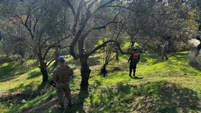  Edremit’te zeytin hasat döneminin başlamasıyla birlikte jandarma ekipleri ve jandarma