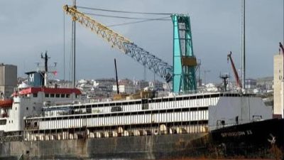 Balıkesir 2. İdare Mahkemesi, Uruguay’dan Bandırma Limanı’na getirilen damızlık gebe