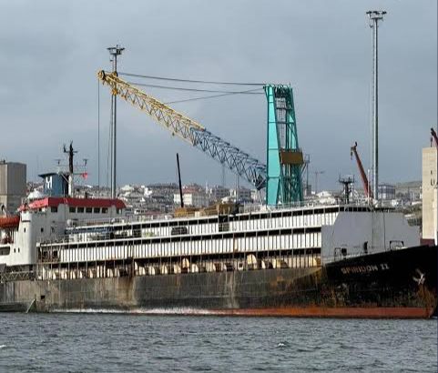 Mahkeme kararını verdi: Uruguay’dan gelen hayvanlar Türkiye’ye sokulamayacak Balıkesir 2. İdare Mahkemesi, Uruguay’dan Bandırma Limanı’na getirilen damızlık gebe