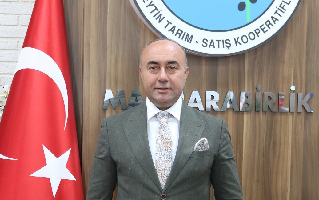 Marmarabirlik, 2025/2026 iş yılı ürün alım kampanyasında sofralık zeytinin tavan
