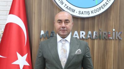 Marmarabirlik, 2025/2026 iş yılı ürün alım kampanyasında sofralık zeytinin tavan